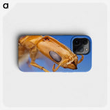2-90_Insects-Unlocked-Project_phone