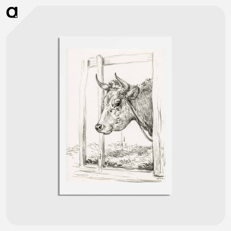 アートポストカード-Head of a cow - ジャン ベルナール Postcard.