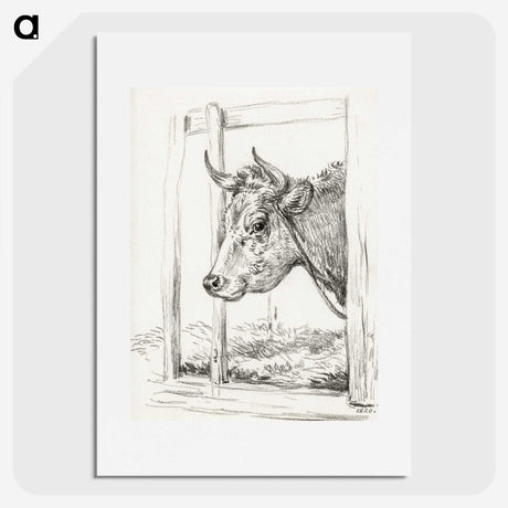 2-90_Jean-Bernard_picture