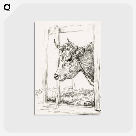 アートポストカード-Head of a cow - ジャン ベルナール Postcard.