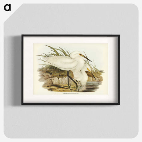 2-90_John-Gould_blk