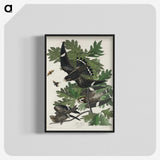 2-90_John-James-Audubon_blk-crop