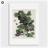 2-90_John-James-Audubon_picture