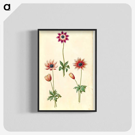 2-90_Maria-Sibylla-Merian_blk-crop
