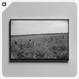 2-90_Marion-Post-Wolcott_canvas