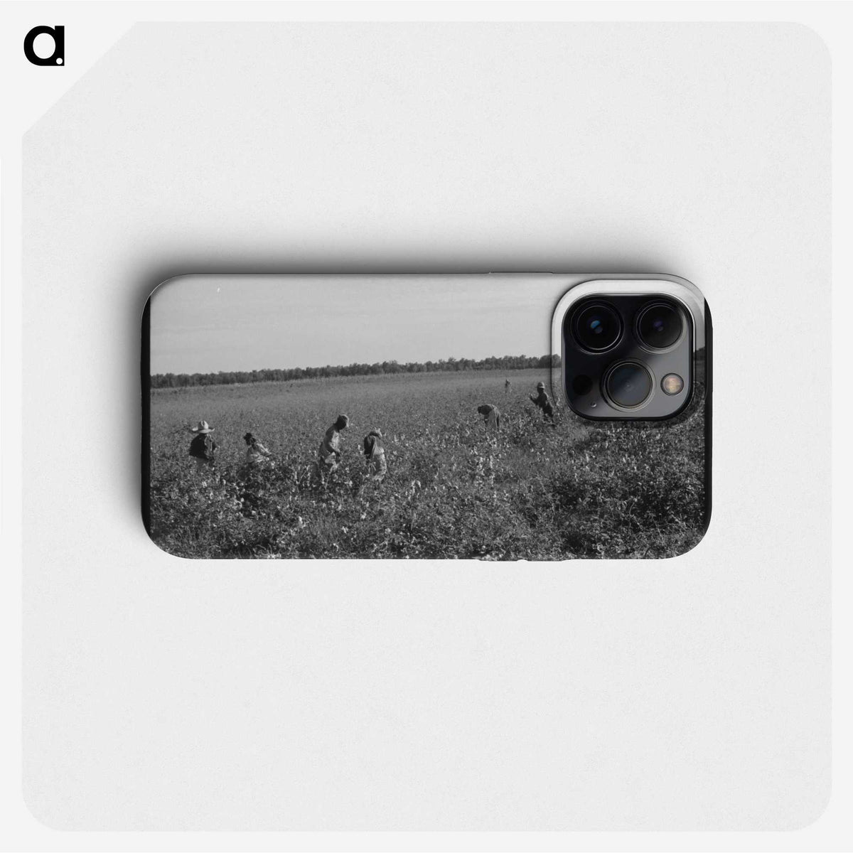2-90_Marion-Post-Wolcott_phone