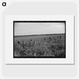 2-90_Marion-Post-Wolcott_picture