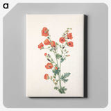 2-90_Mary-Vaux-Walcott_canvas
