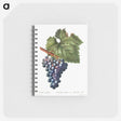2-90_Pierre-Joseph-Redoute_memo