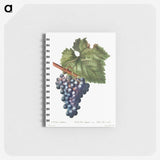 2-90_Pierre-Joseph-Redoute_memo