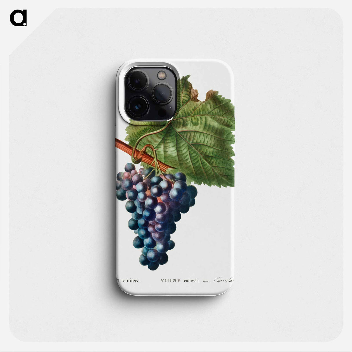 Grape vine - Pierre Joseph Redouté Phone Case.