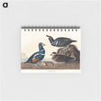 アートメモ帳-Harlequin Duck from Birds of America
 - アメリカの鳥たち Memo.