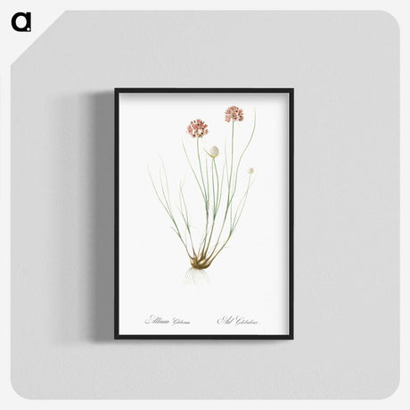 2-90_The-Lilies_blk-crop