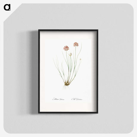 2-90_The-Lilies_blk
