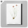 2-90_The-Lilies_canvas