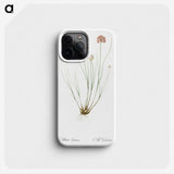 2-90_The-Lilies_phone