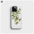 2-90_Treatise-on-Trees-and-Shrubs_phone