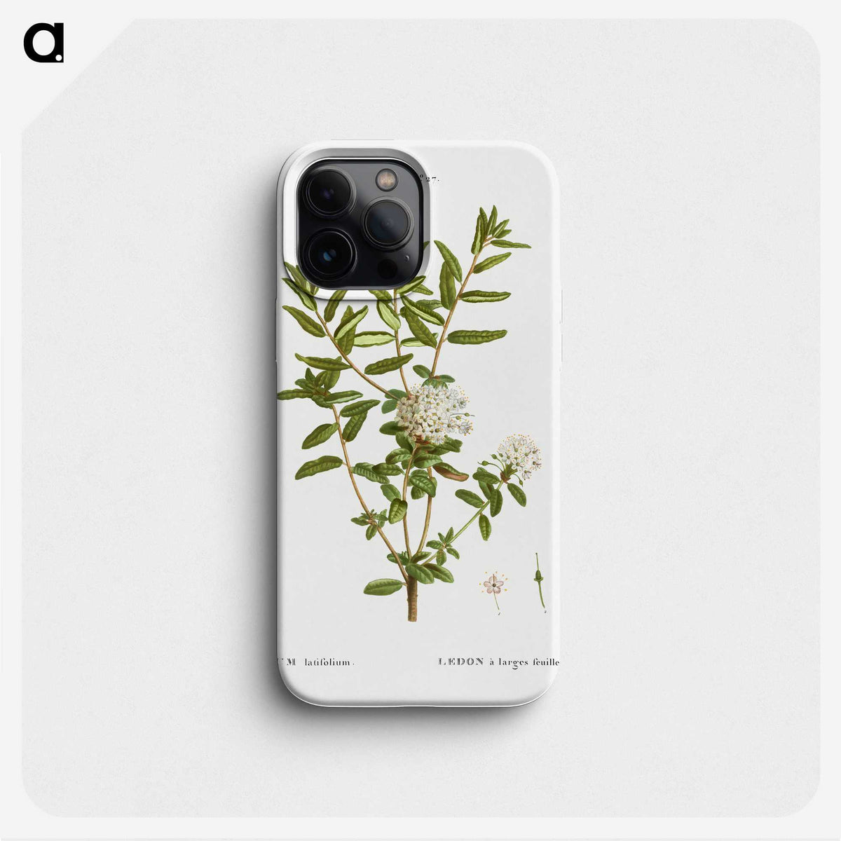 2-90_Treatise-on-Trees-and-Shrubs_phone