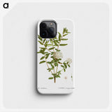2-90_Treatise-on-Trees-and-Shrubs_phone
