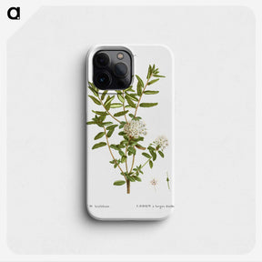 2-90_Treatise-on-Trees-and-Shrubs_phone