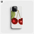 2-90_USDA-Watercolor-Fruit-Painting-Collection_phone