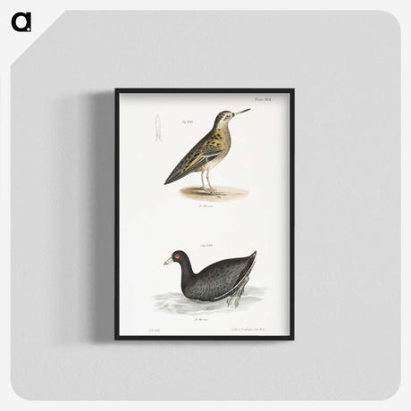 2-90_Zoology-of-New-York_blk-crop