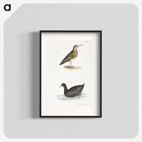 2-90_Zoology-of-New-York_blk