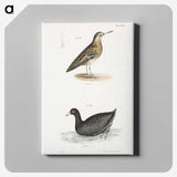 2-90_Zoology-of-New-York_canvas