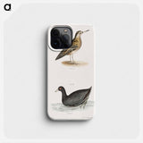 Red Phalarope (Phalaropus fulicarius) American Coot (Fulica americana) - ニューヨークの動物学 Phone Case.