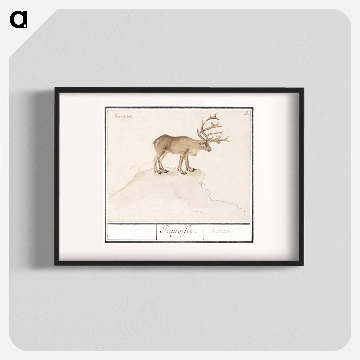 Reindeer - アンセルムス ボエティウス デ ブート Poster.
