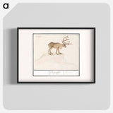 Reindeer - アンセルムス ボエティウス デ ブート Poster.