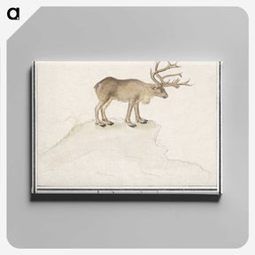 2-91_Anselmus-Boetius-de-Boodt_canvas