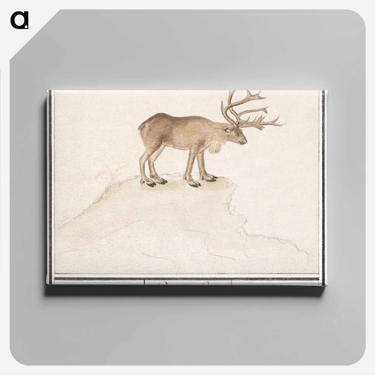 Reindeer - アンセルムス ボエティウス デ ブート Canvas.