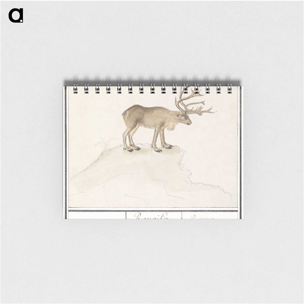 2-91_Anselmus-Boetius-de-Boodt_memo