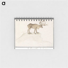 2-91_Anselmus-Boetius-de-Boodt_memo