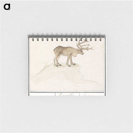 2-91_Anselmus-Boetius-de-Boodt_memo