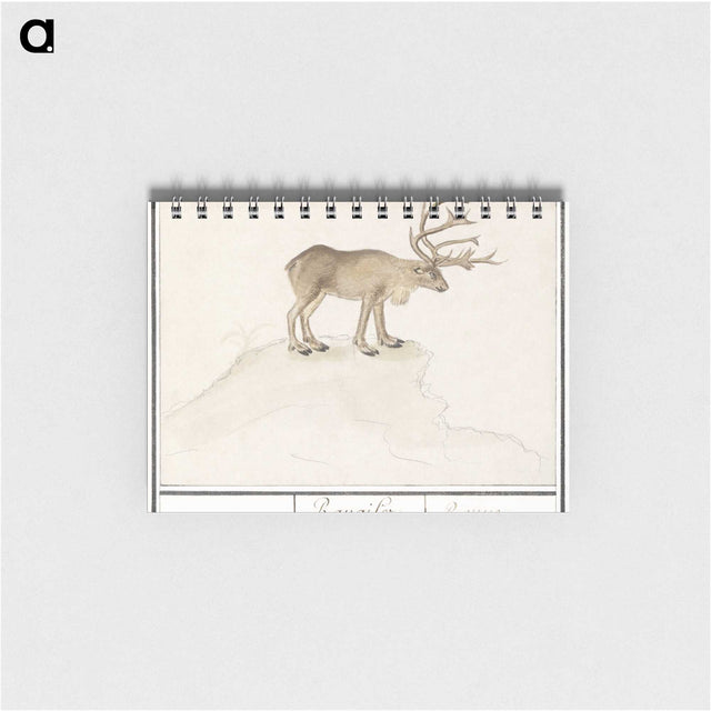 2-91_Anselmus-Boetius-de-Boodt_memo