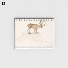 アートメモ帳-Reindeer - アンセルムス ボエティウス デ ブート Memo.