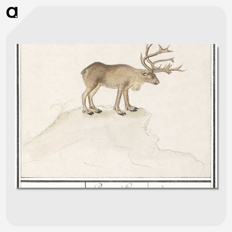 2-91_Anselmus-Boetius-de-Boodt_picture-crop