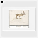 2-91_Anselmus-Boetius-de-Boodt_picture