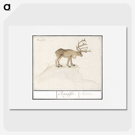 2-91_Anselmus-Boetius-de-Boodt_picture