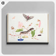 アートパネル-The Caterpillar Book: Convolvulus and Metamorphosis of the Convovulus Hawk Moth
 - クリーブランド美術館 Canvas.