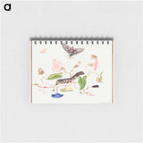 アートメモ帳-The Caterpillar Book: Convolvulus and Metamorphosis of the Convovulus Hawk Moth
 - クリーブランド美術館 Memo.