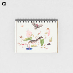 アートメモ帳-The Caterpillar Book: Convolvulus and Metamorphosis of the Convovulus Hawk Moth
 - クリーブランド美術館 Memo.
