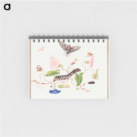 アートメモ帳-The Caterpillar Book: Convolvulus and Metamorphosis of the Convovulus Hawk Moth
 - クリーブランド美術館 Memo.