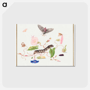 アートポストカード-The Caterpillar Book: Convolvulus and Metamorphosis of the Convovulus Hawk Moth
 - クリーブランド美術館 Postcard.