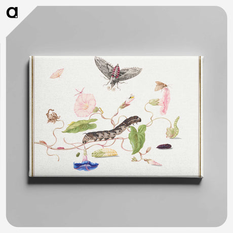 2-91_Cleveland-Museum-of-Art_canvas