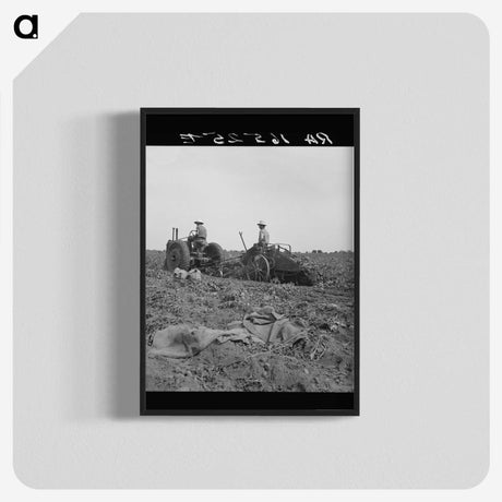 2-91_Dorothea-Lange_blk-crop