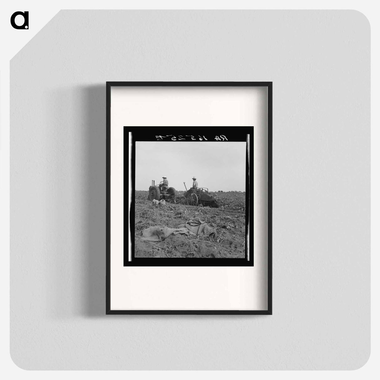 Mechanical potato digger near Shafter, California - Dorothea Lange Poster.