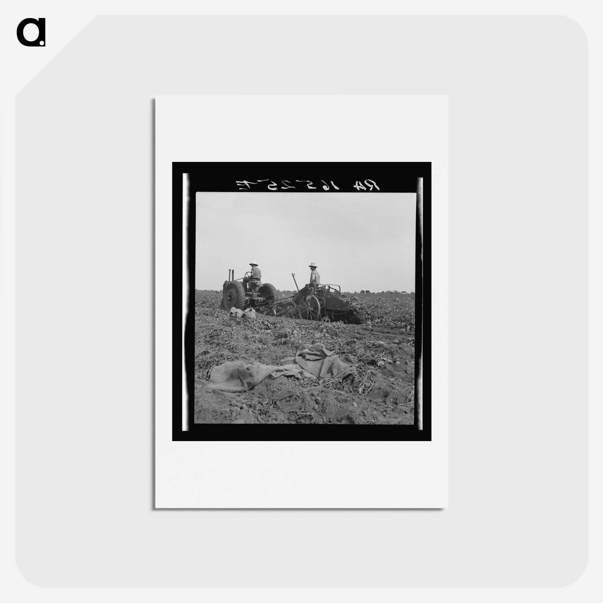 2-91_Dorothea-Lange_hagaki